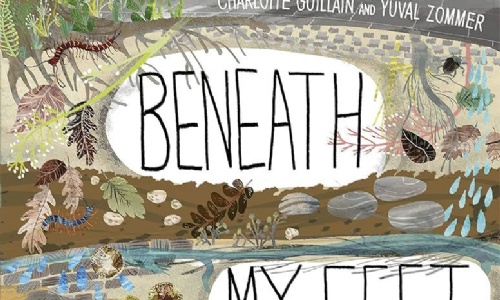 Week 5 Term 3, Year 2 Learning